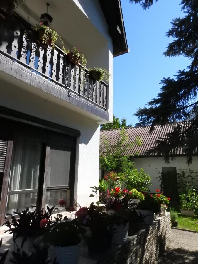 Hotel Haus Gizella Harkány Exterior foto